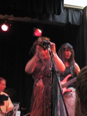 the birdie noises toy