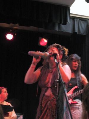 the karaoke microphone toy