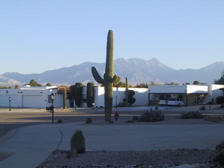 View of the Santa Ritas from mom and dad's driveway