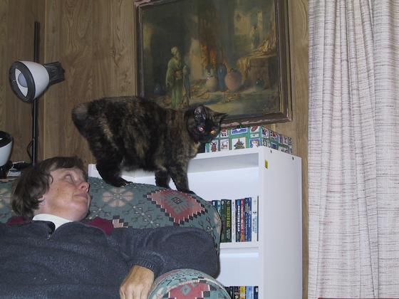 Trouble looking for some