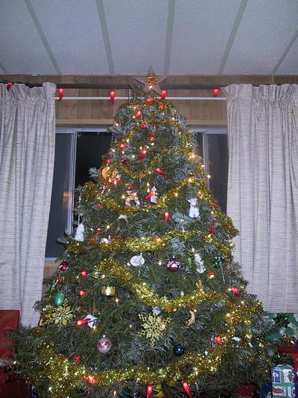 The tree manages to remain standing