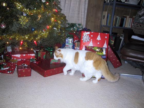 Hillary's going in...