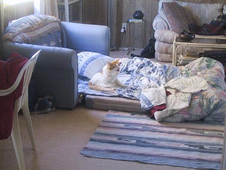 Hillary takes over the bed