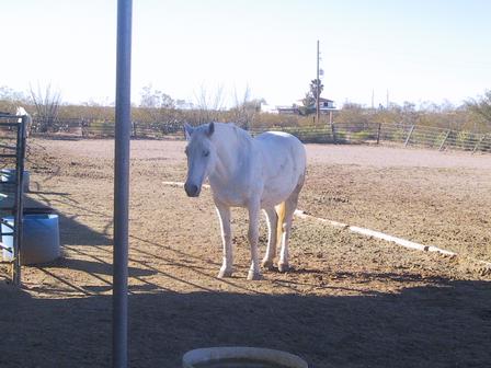 Capria, still hanging out