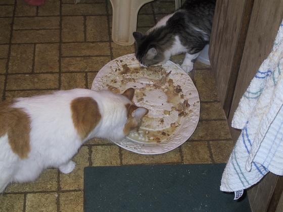 Hillary and Tenshi chowing down after turkey