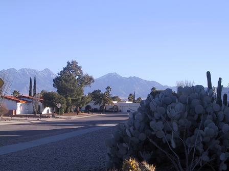 Walking around the neighborhood