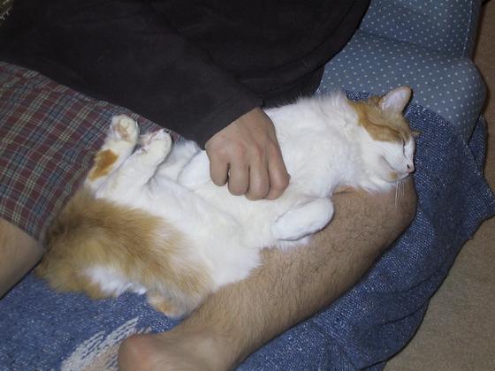 Hillary the Magnificently Silly