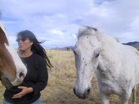 Hondo, Jenny, and Romy in Sonoita