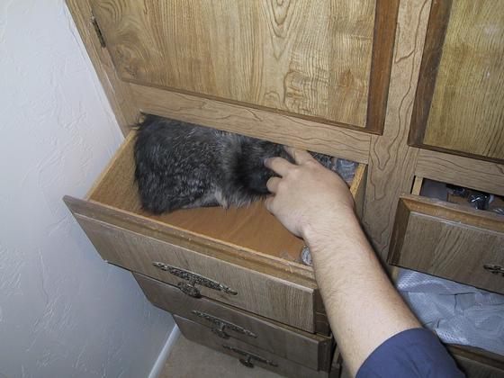 B.T. in a drawer