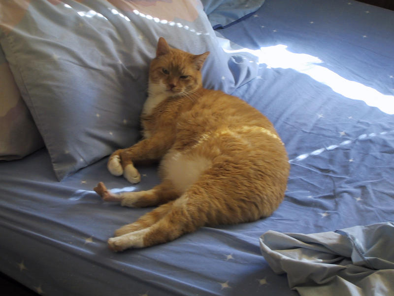 the Taminy Nap Chronicles, day 1