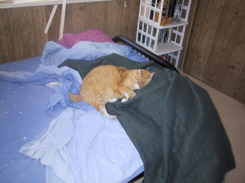 the Taminy Nap Chronicles, day 2