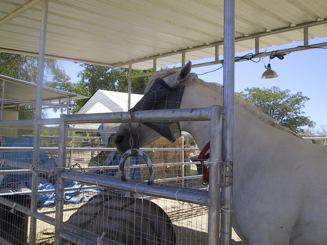 Gabriella and the local chakram