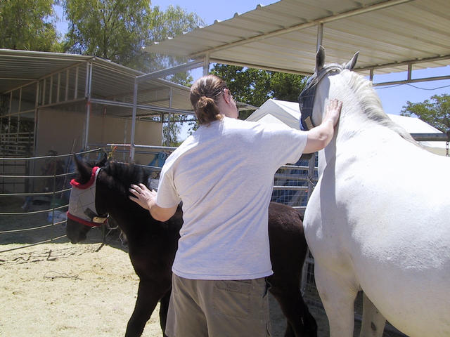 Rob with Ephiny and Gabriella