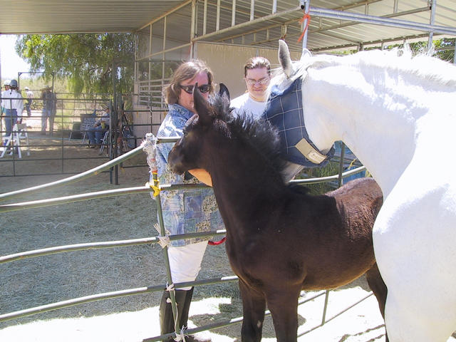 Ephiny gets her flymask off