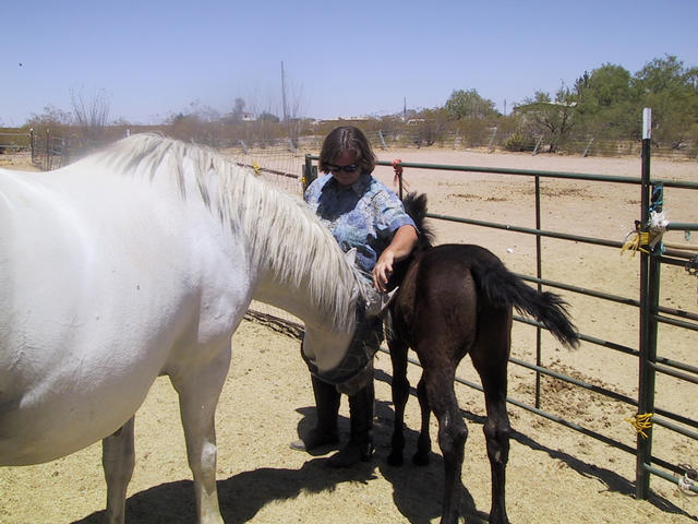 Gabriella, Judy, Ephiny