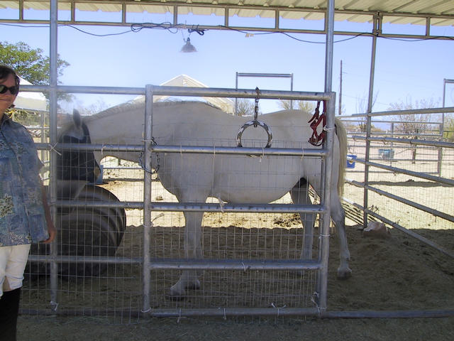 Gabriella and the chakram, again