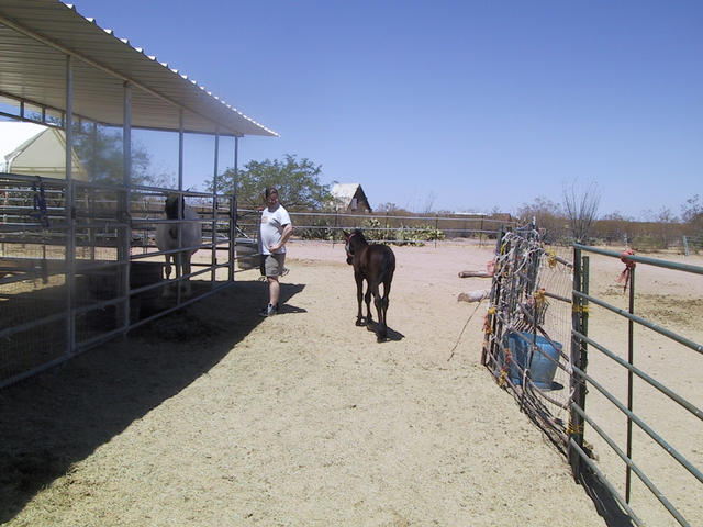 Ephiny following Rob, again