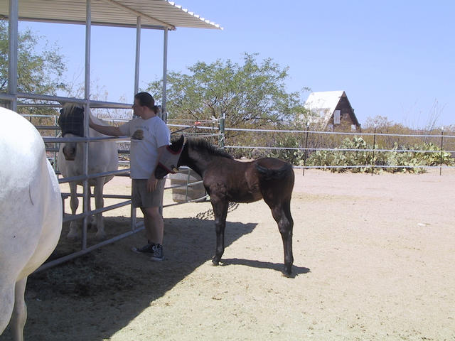 Rob with Carrma and Ephiny