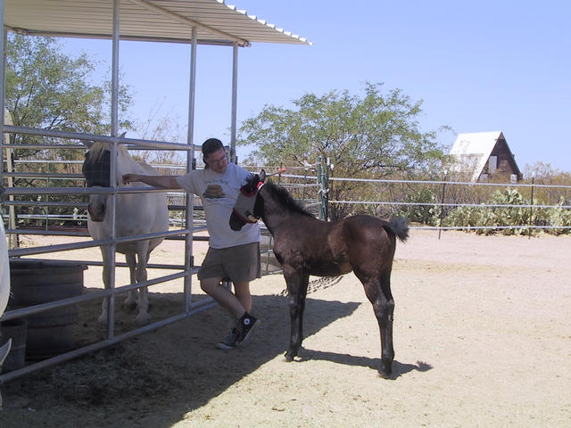 Rob with Carrma and Ephiny