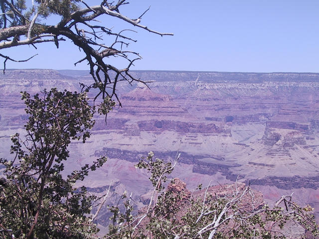 More from the South Rim
