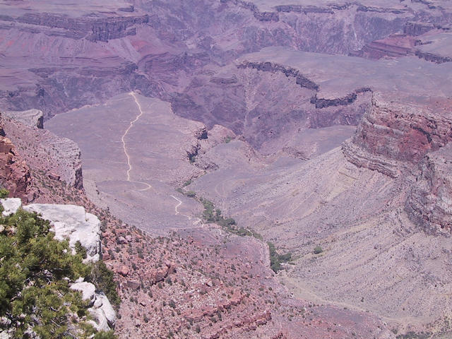 One of the trails the mules take down