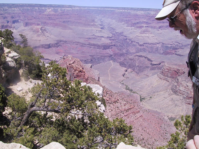 Brain ... imploding ...