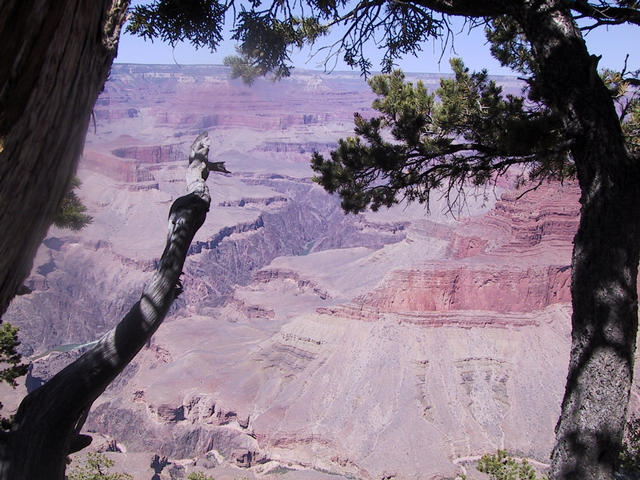 Looking the other way