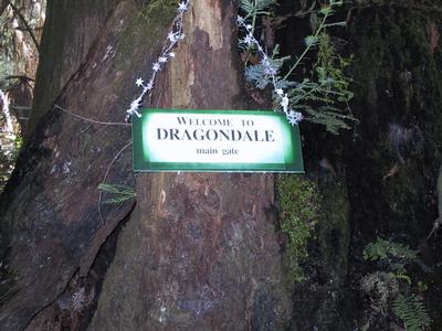 Welcome To Dragondale