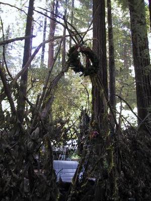 The gate into the Fire Grove