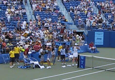Shaking hands with the umpire after the match