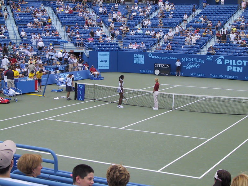 Venus Williams and the umpire