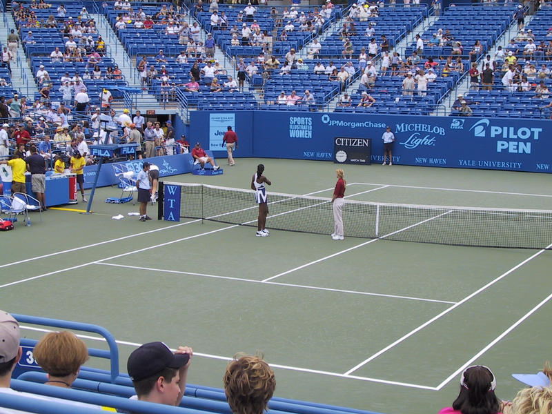 Venus Williams and the umpire