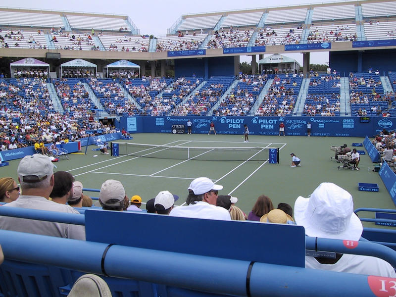 The view of the court