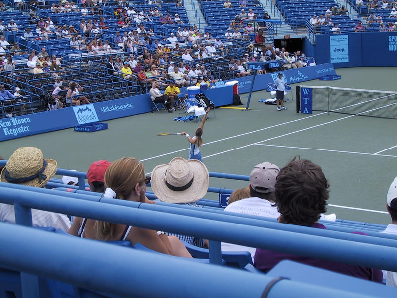 Patty Schnyder serves