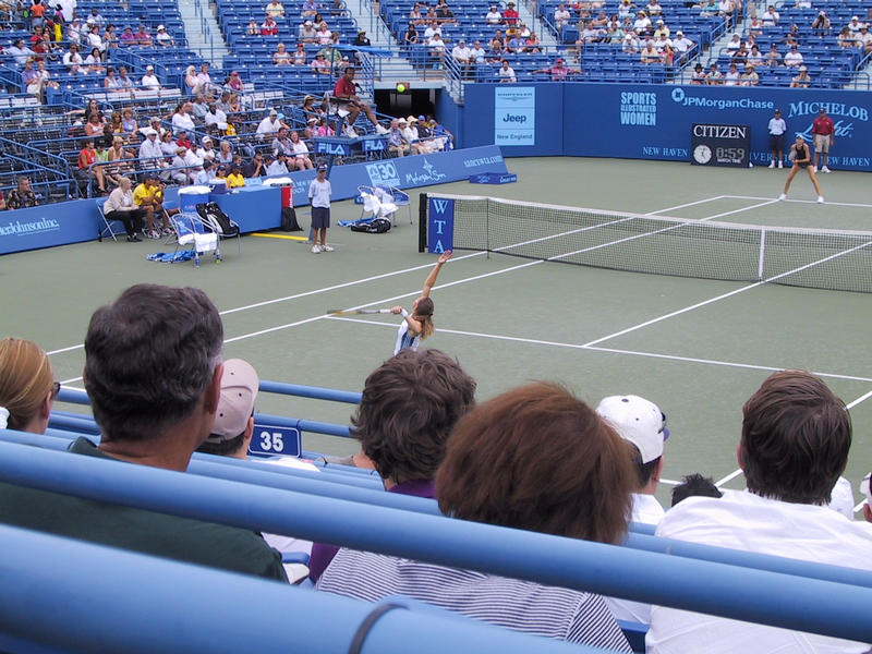 Patty Schnyder serves