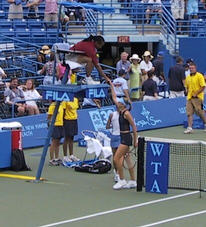 Shaking hands with the umpire