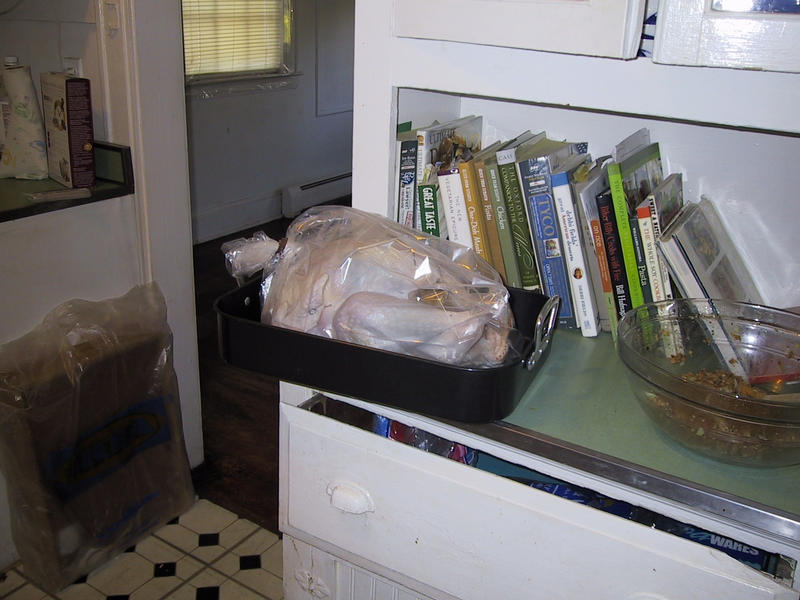 The turkey, ready to go