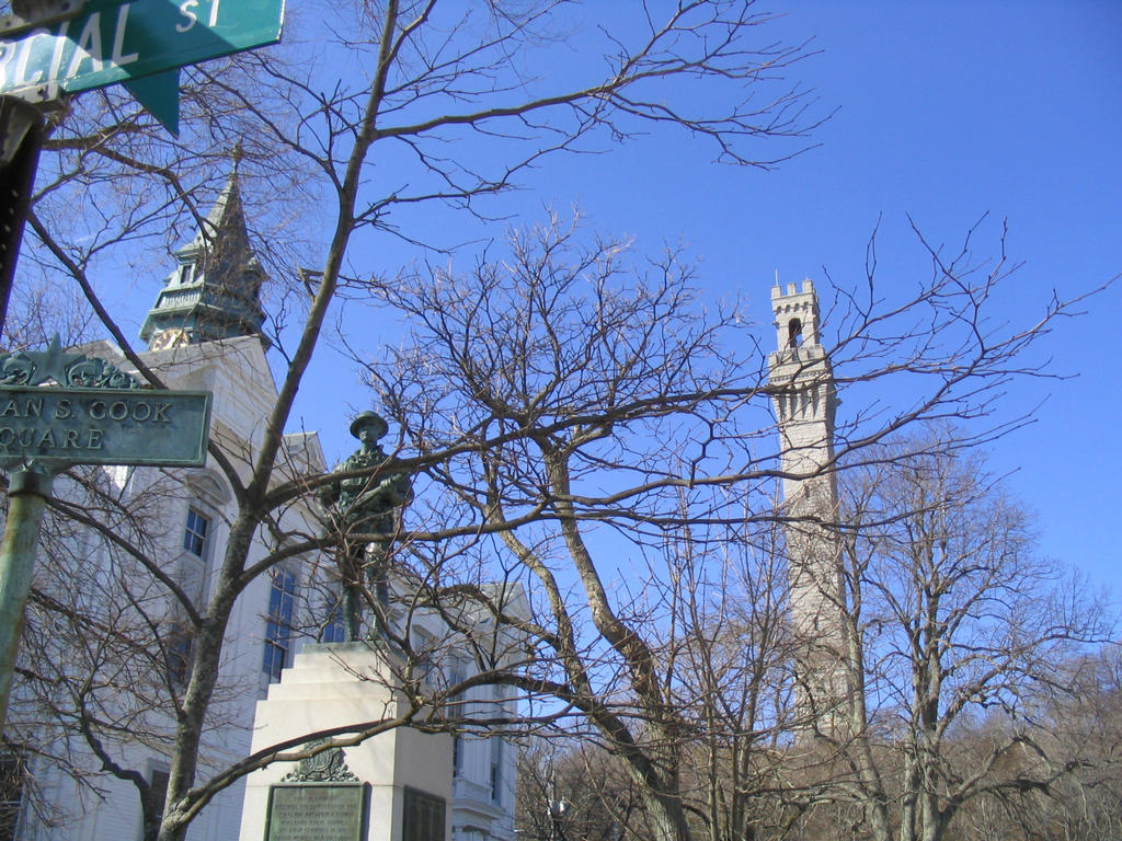 View of the Pilgrim Monument from the library