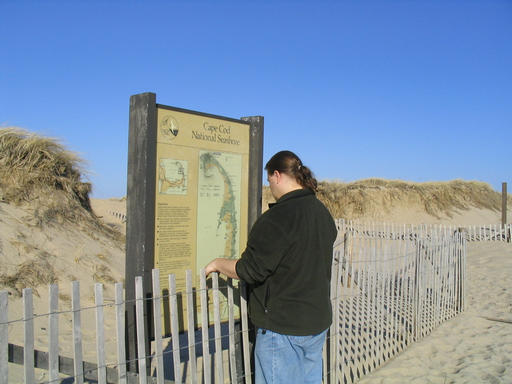 At the Cape Cod National Seashore near P-town